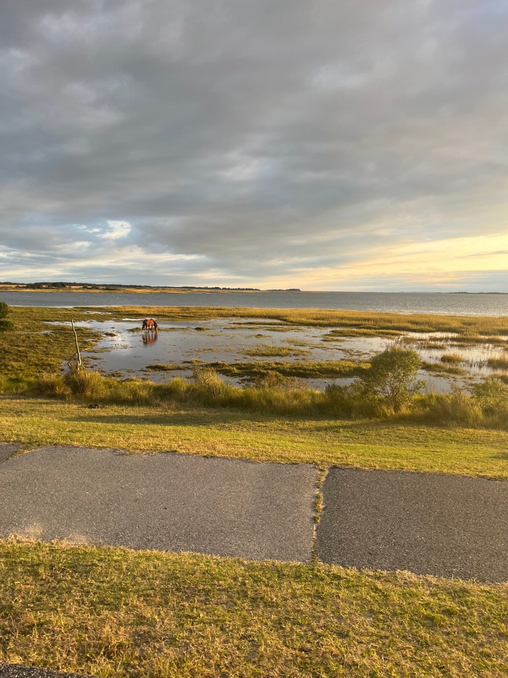 Exploring Assateague Island: A Family Camping&nbsp;Adventure