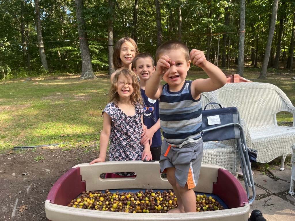 Nature for homeschooling