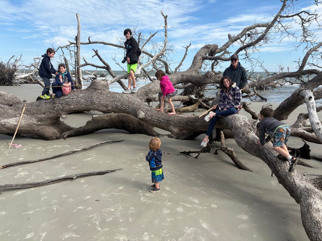 Beach Trail at Hunting Island State Park