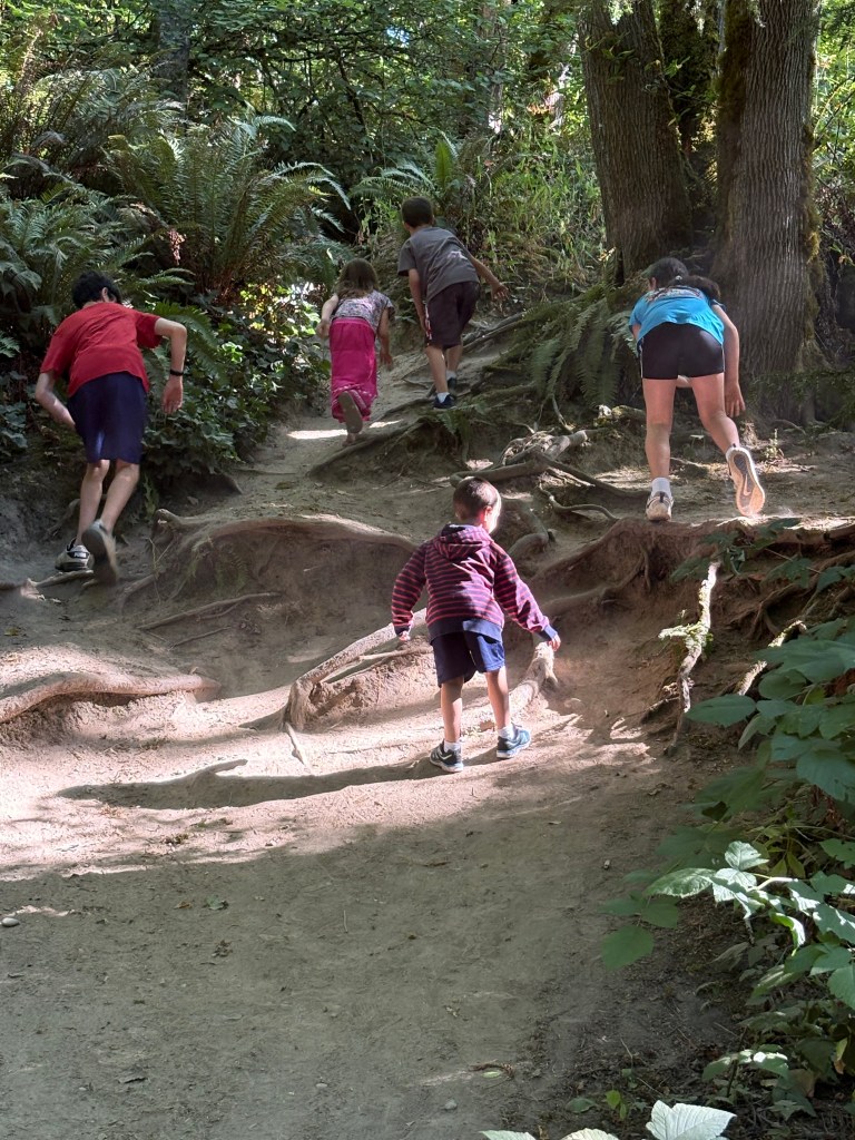 Travel & Vacation Week was all about getting our family of nine ready for a cross-country adventure to Washington State. From strategic packing (because nine suitcases is not an option) to a smooth flight - we prepared well! Once we landed, the fun kicked in—splashes and slides at Great Wolf Lodge, exploring Tacoma’s waterfront charm, and soaking up family time in the Pacific Northwest. It was a week packed with memories, a little chaos, and a lot of joy.