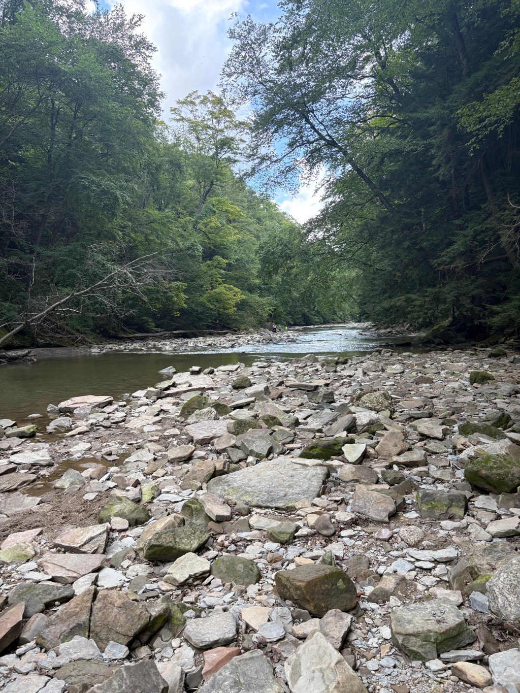 End of Summer 2025: Family Travel, Camping in Ohio, and Back-to-School&nbsp;Prep