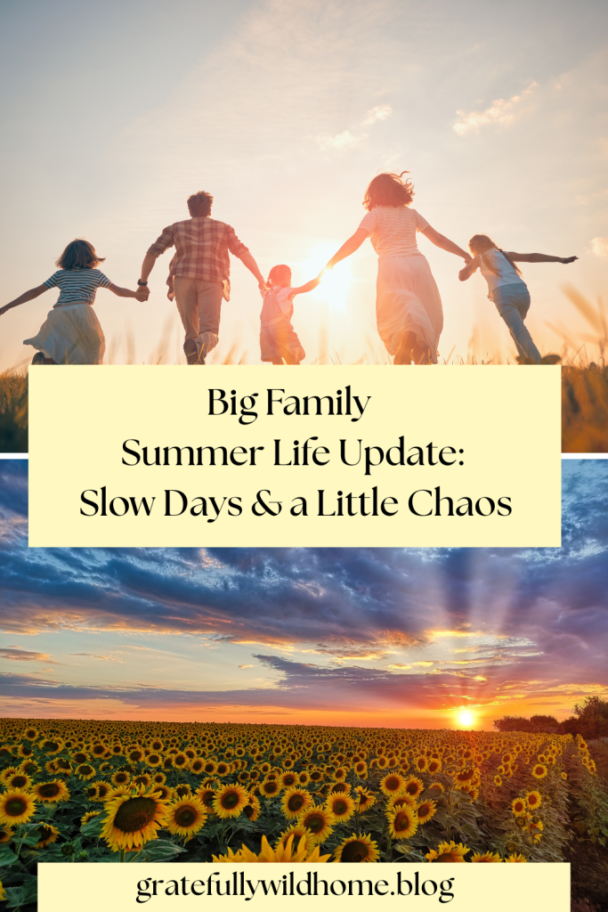 big family summer life update slow day sand a little choas